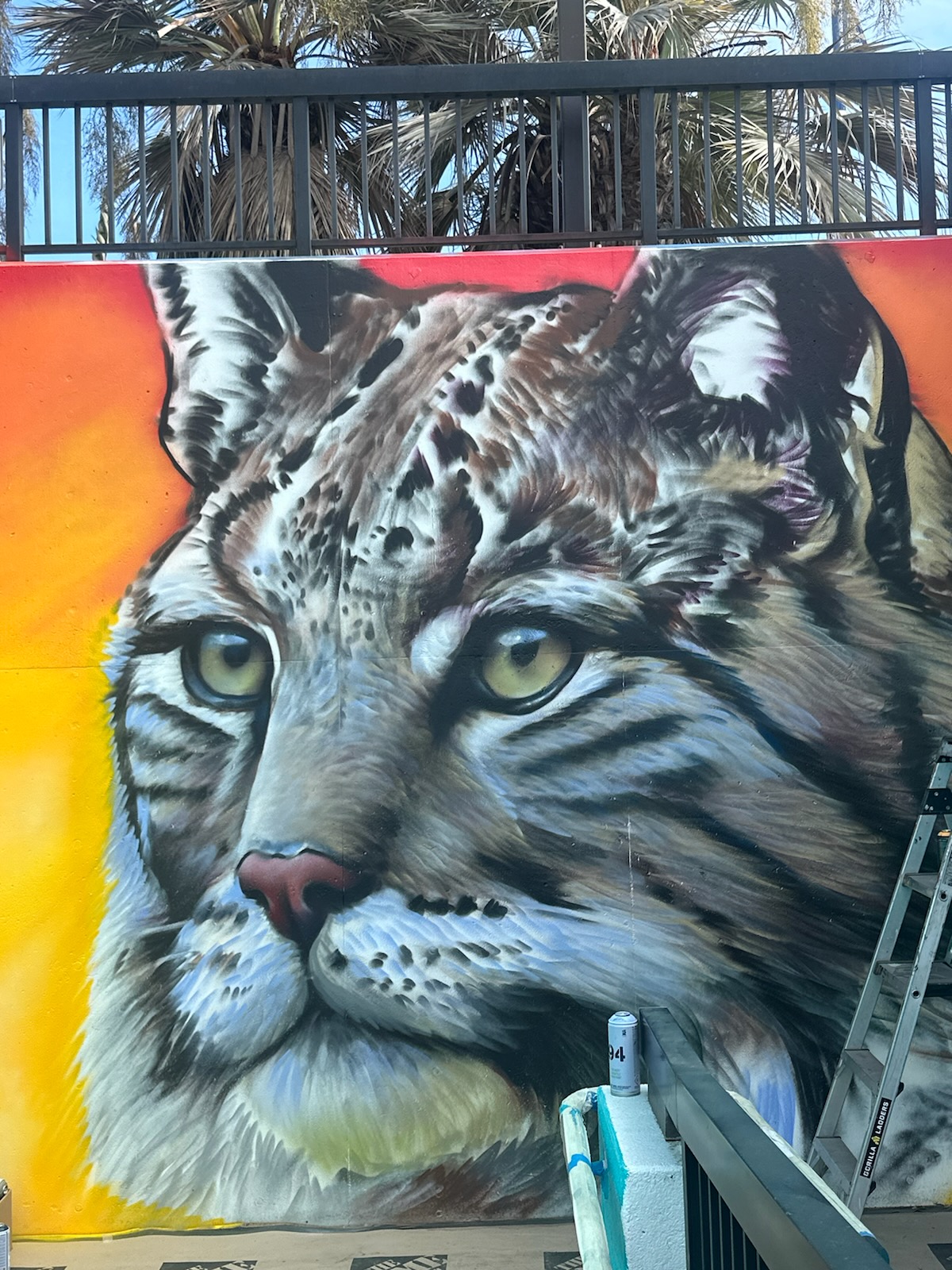 Puma mural painting San Diego - Professional artistic mural services